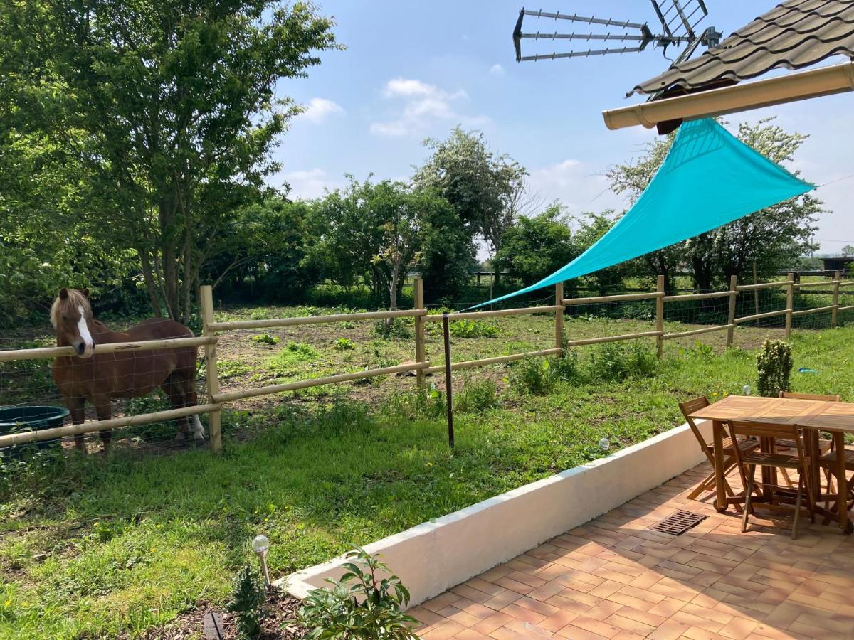 Gite De Blay Exterior photo